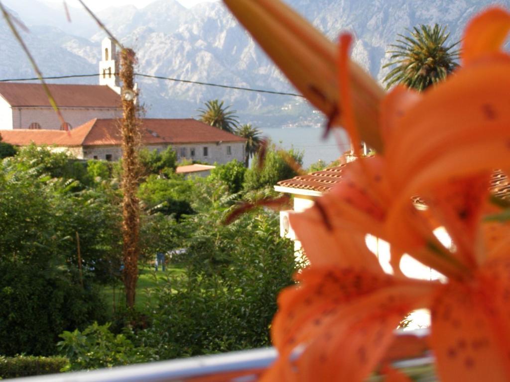 Djurovic Apartments Montenegro Kotor Cameră foto