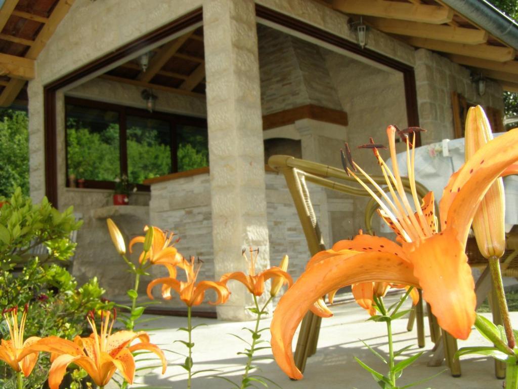 Djurovic Apartments Montenegro Kotor Cameră foto
